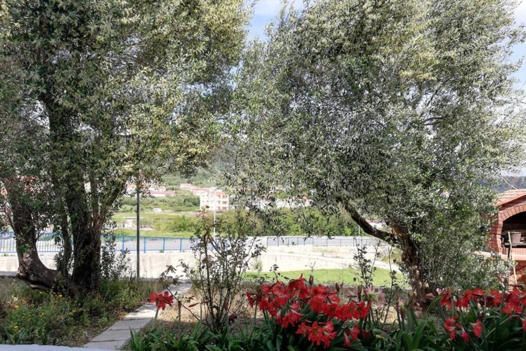 Villa Ribaric à Banjol Extérieur photo