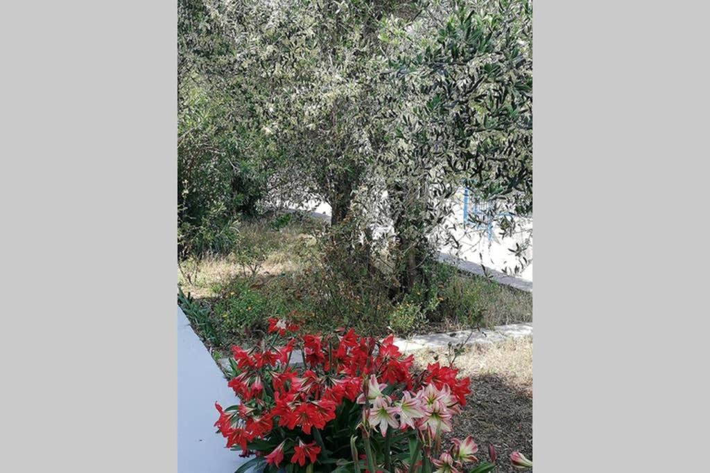 Villa Ribaric à Banjol Extérieur photo